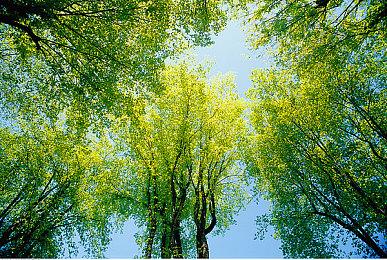 《原子之心》首批Mod分享 自定义FOV＆DLAA支持